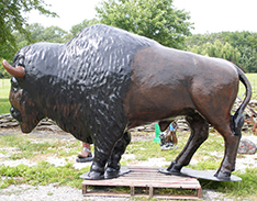 Copper color fiberglass buffalo statue